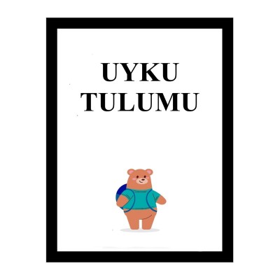 Uyku Tulumu